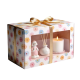 Pastel Daisy Gift Set with Ceramic Figurine, Reed Diffuser & Scented Candle